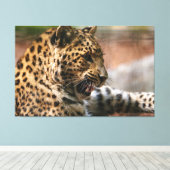 Cheetah Canvas Afdruk (Insitu (Houten vloer))