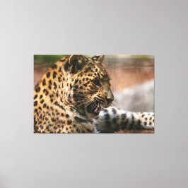 Cheetah Canvas Afdruk