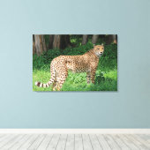 Cheetah Canvas Afdruk (Insitu (Houten vloer))