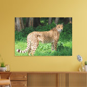 Cheetah Canvas Afdruk (Insitu (Woonkamer))
