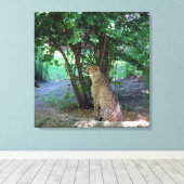 Cheetah Canvas Afdruk (Insitu (Houten vloer))