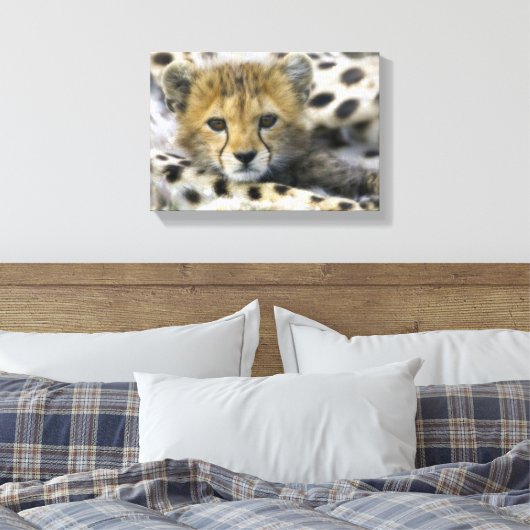 Cheetah Canvas Afdruk (Insitu (Slaapkamer))