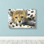 Cheetah Canvas Afdruk (Insitu (Houten vloer))