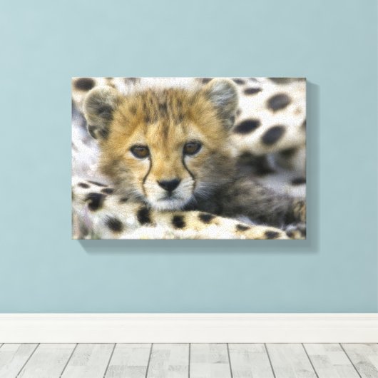 Cheetah Canvas Afdruk (Insitu (Houten vloer))