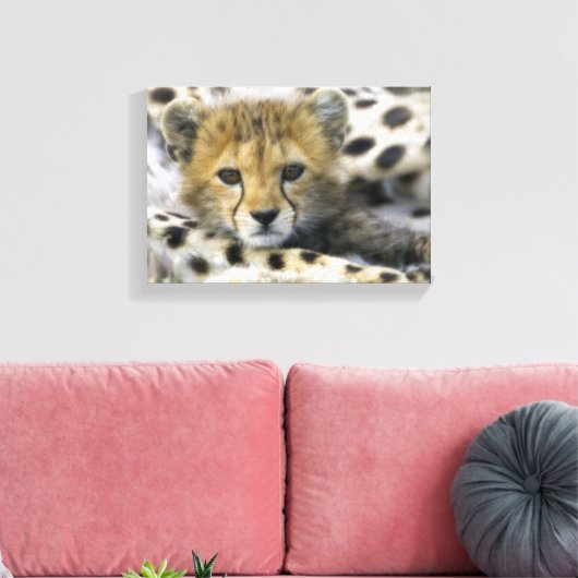 Cheetah Canvas Afdruk (Insitu (Woonkamer))
