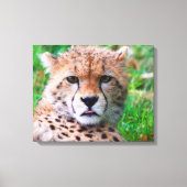 Cheetah Canvas Afdruk (Voorkant)