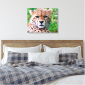 Cheetah Canvas Afdruk (Insitu (Slaapkamer))