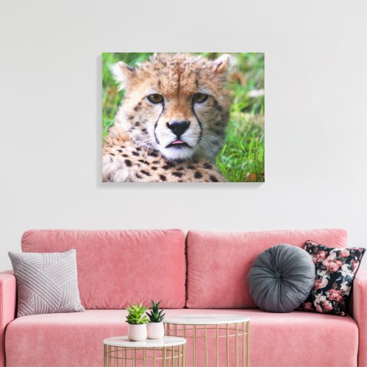 Cheetah Canvas Afdruk (Insitu (Woonkamer))