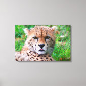 Cheetah Canvas Afdruk (Voorkant)