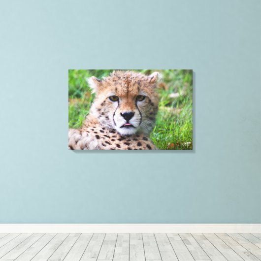 Cheetah Canvas Afdruk (Insitu (Houten vloer))