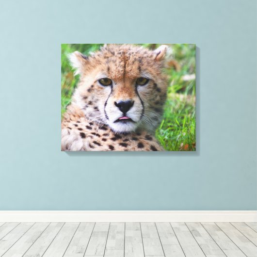 Cheetah Canvas Afdruk (Insitu (Houten vloer))