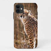 Cheetah Case-Mate iPhone Case (Achterkant)