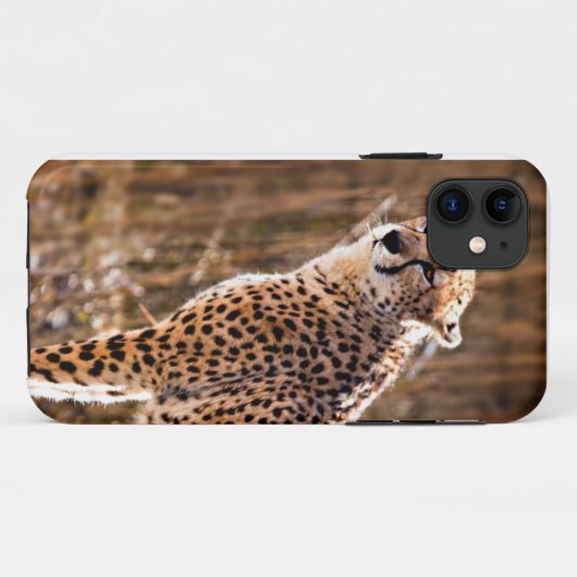 Cheetah Case-Mate iPhone Case (Achterkant (horizontaal))