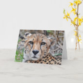 Cheetah Cat Art Portrait Note Kaart (Gele Bloem)