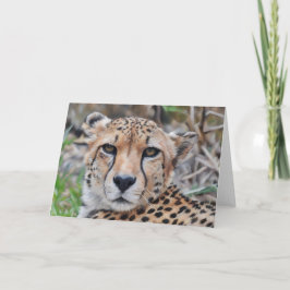 Cheetah Cat Art Portrait Note Kaart