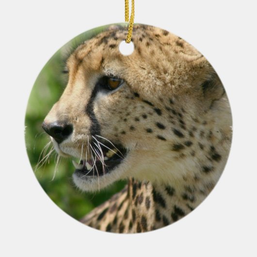 Cheetah Cat Ornament (Voorkant)