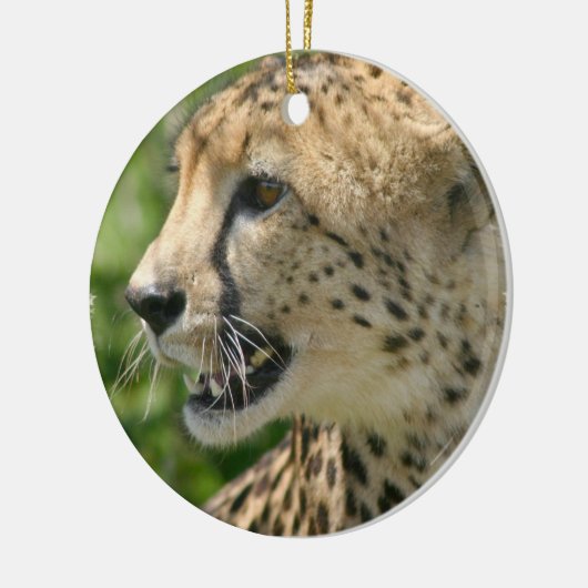 Cheetah Cat Ornament (Links)