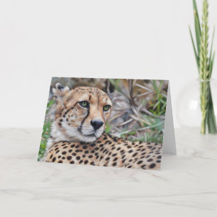Cheetah Cat Wild Animal Art Note Kaart