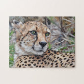 Cheetah Cat Wild Art Natuur Puzzel Legpuzzel (Horizontaal)