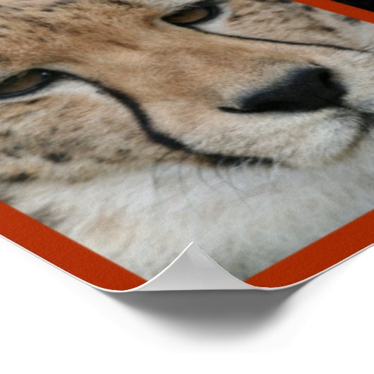 Cheetah-Collage 001 Poster (Hoek)