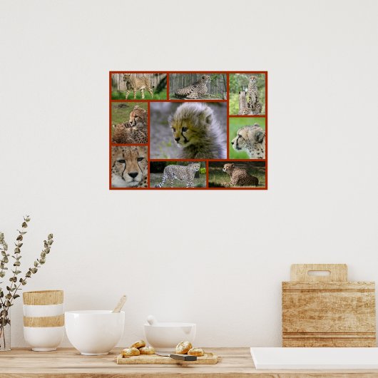 Cheetah-Collage 001 Poster (Keuken)