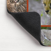 Cheetah-Collage 001 Poster Muismat (Hoek)