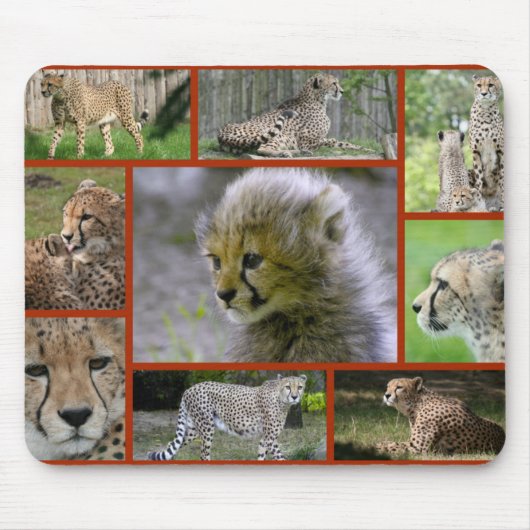 Cheetah-Collage 001 Poster Muismat (Voorkant)