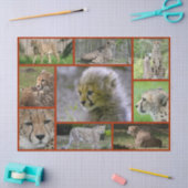 Cheetah-Collage 001 Poster Tissuepapier (Craft)