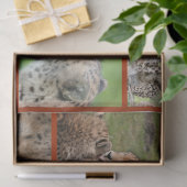 Cheetah-Collage 001 Poster Tissuepapier (Geschenk)