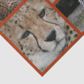 Cheetah-Collage 001 Poster Tissuepapier (Detail)