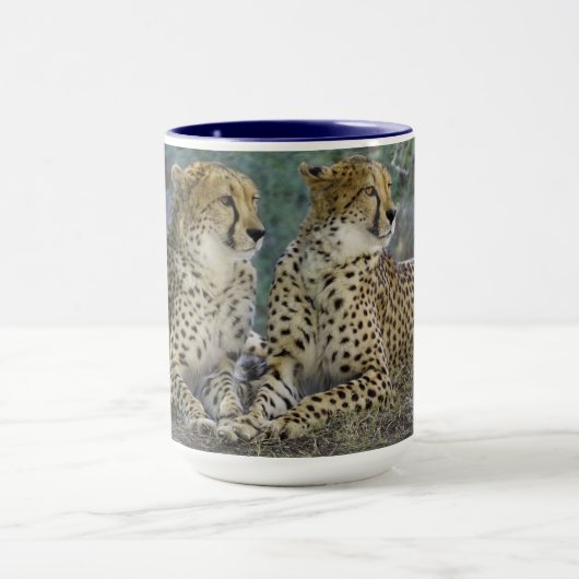 Cheetah Combo Mok (Midden)