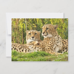 Cheetah Companions - Rusten in het wild Briefkaart