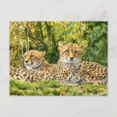 Cheetah Companions - Rusten in het wild Briefkaart (Voorkant)