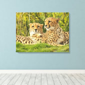 Cheetah Companions - Rusten in het wild Canvas Afdruk (Insitu (Houten vloer))