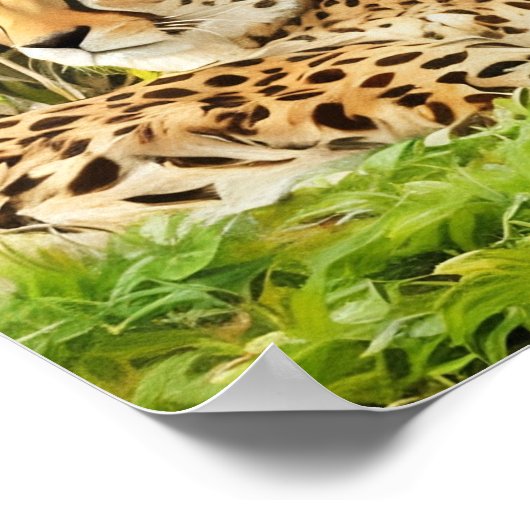 Cheetah Companions - rusten in het wild Poster (Hoek)