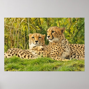 Cheetah Companions - Rusten in het wild Poster