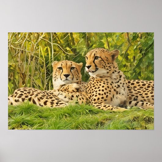 Cheetah Companions - Rusten in het wild Poster (Voorkant)