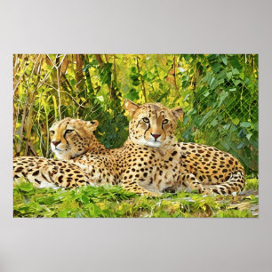 Cheetah Companions - rusten in het wild Poster
