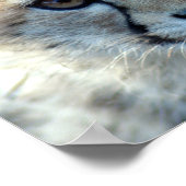 cheetah-cub10x10 poster (Hoek)