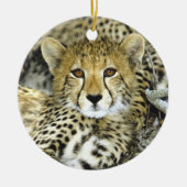 Cheetah Cub 2 Keramisch Ornament (Voorkant)