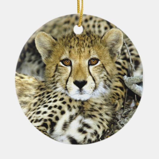 Cheetah Cub 2 Keramisch Ornament (Voorkant)