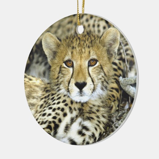 Cheetah Cub 2 Keramisch Ornament (Links)