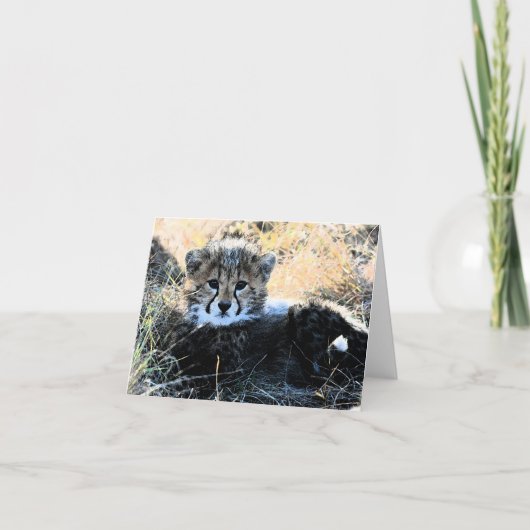 Cheetah cub aanpasbare briefkaart (Voorkant)