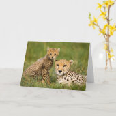Cheetah Cub en Parent in Grass Kaart (Gele Bloem)