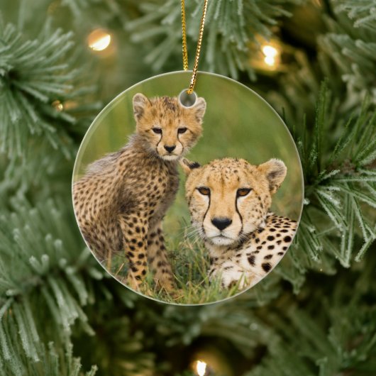 Cheetah Cub en Parent in Grass Keramisch Ornament (Boom)