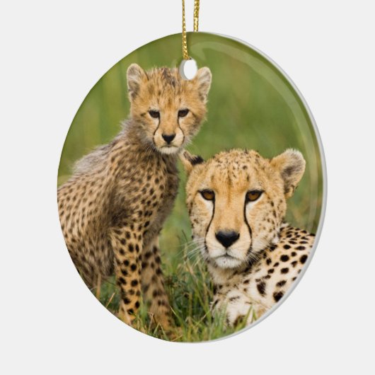 Cheetah Cub en Parent in Grass Keramisch Ornament (Links)