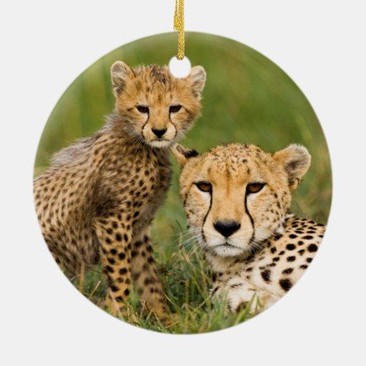 Cheetah Cub en Parent in Grass Keramisch Ornament (Achterkant)