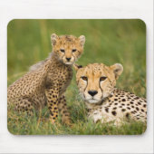 Cheetah Cub en Parent in Grass Muismat (Voorkant)