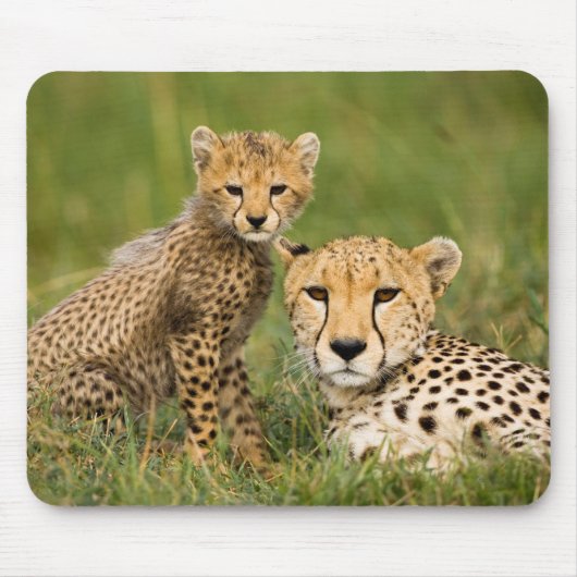 Cheetah Cub en Parent in Grass Muismat (Voorkant)