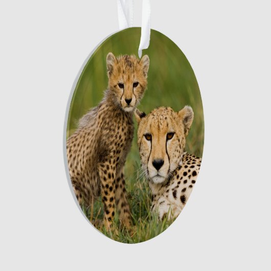 Cheetah Cub en Parent in Grass Ornament (voorkant)